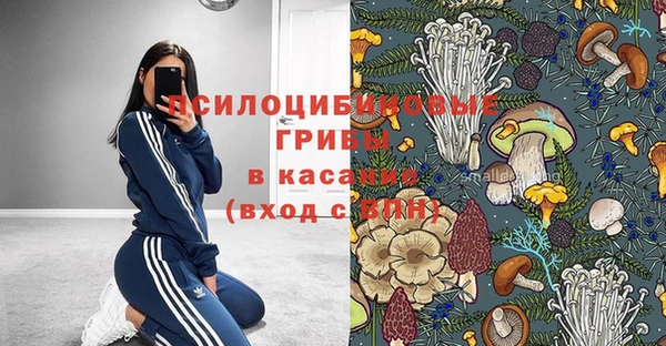 винт Аркадак