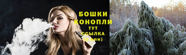 винт Гвардейск