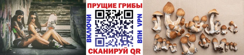 Псилоцибиновые грибы Magic Shrooms  Артёмовский 